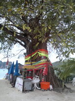 thumb_29012011789.jpg