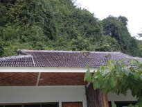 thumb_30012011796.jpg