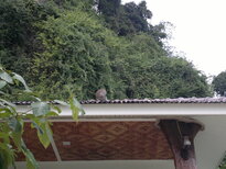 thumb_30012011798.jpg
