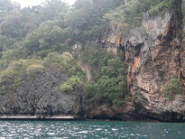 thumb_31012011817.jpg