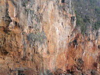 thumb_31012011820.jpg