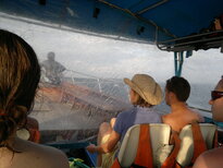 thumb_31012011828.jpg