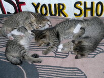 thumb_31012011832.jpg