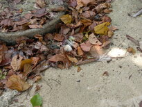 thumb_01022011838.jpg