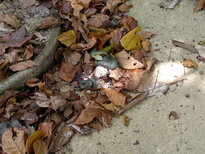 thumb_01022011839.jpg