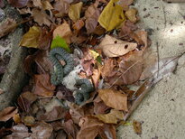 thumb_01022011840.jpg