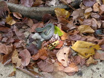 thumb_01022011841.jpg