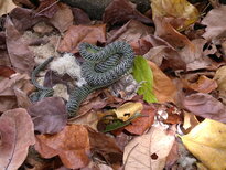 thumb_01022011842.jpg