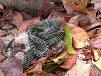 thumb_01022011843.jpg