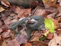 thumb_01022011844.jpg