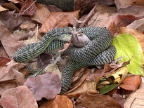 thumb_01022011845.jpg