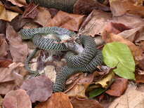 thumb_01022011846.jpg