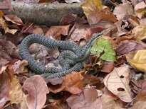 thumb_01022011849.jpg