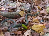 thumb_01022011851.jpg