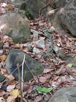 thumb_01022011852.jpg