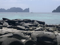 thumb_01022011854.jpg
