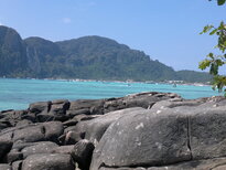 thumb_01022011855.jpg