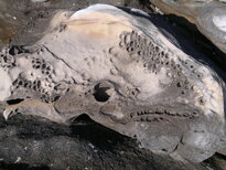 thumb_01022011859.jpg