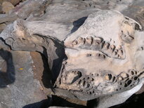 thumb_01022011861.jpg