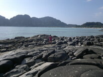 thumb_01022011862.jpg