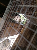 thumb_03022011865.jpg