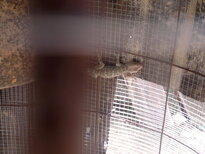 thumb_03022011866.jpg