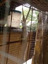 thumb_03022011867.jpg