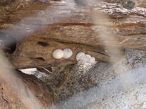 thumb_03022011868.jpg