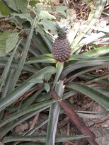 thumb_03022011872.jpg