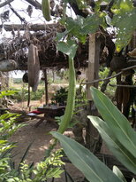 thumb_03022011874.jpg
