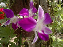 thumb_03022011875.jpg