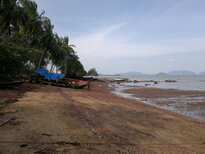 thumb_03022011882.jpg