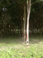 thumb_03022011893.jpg