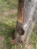thumb_03022011894.jpg