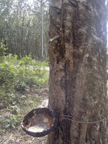 thumb_03022011896.jpg