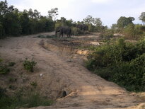 thumb_03022011900.jpg