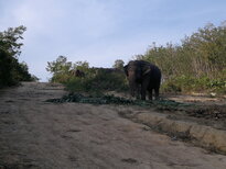 thumb_03022011901.jpg