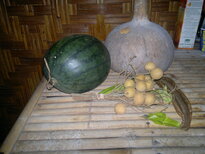 thumb_03022011904.jpg