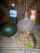 thumb_03022011905.jpg