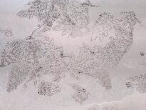 thumb_04022011907.jpg