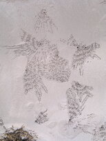 thumb_04022011908.jpg
