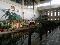 thumb_06022011928.jpg