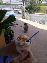 thumb_140220111053.jpg