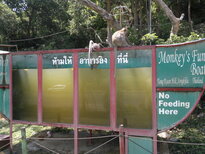 thumb_140220111056.jpg