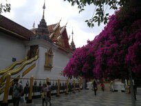 thumb_180220111089.jpg