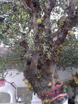 thumb_180220111098.jpg