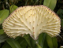 thumb_180220111099.jpg