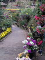 thumb_180220111103.jpg