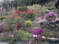 thumb_180220111104.jpg