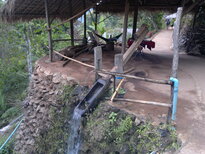 thumb_180220111106.jpg